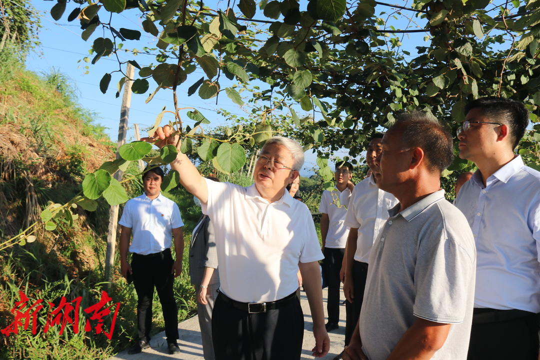 刘永富到城步调研数字乡村平台试点和乡村振兴工作_邵商网